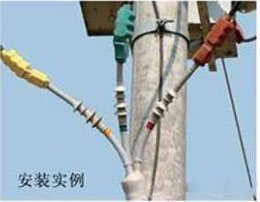 圖片(piàn)12.jpg